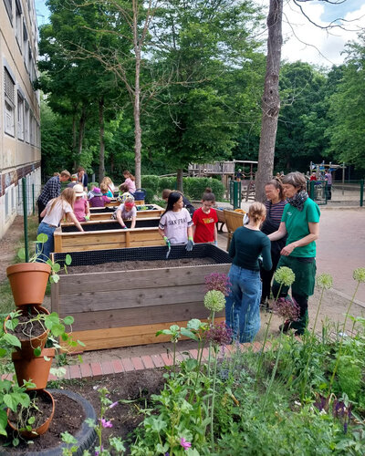  Mit Begeisterung im Schulgarten

An der Sabine-Ball-Grundschule wird fleißig gegärtnert. Unter Anleitung pflanzen,...