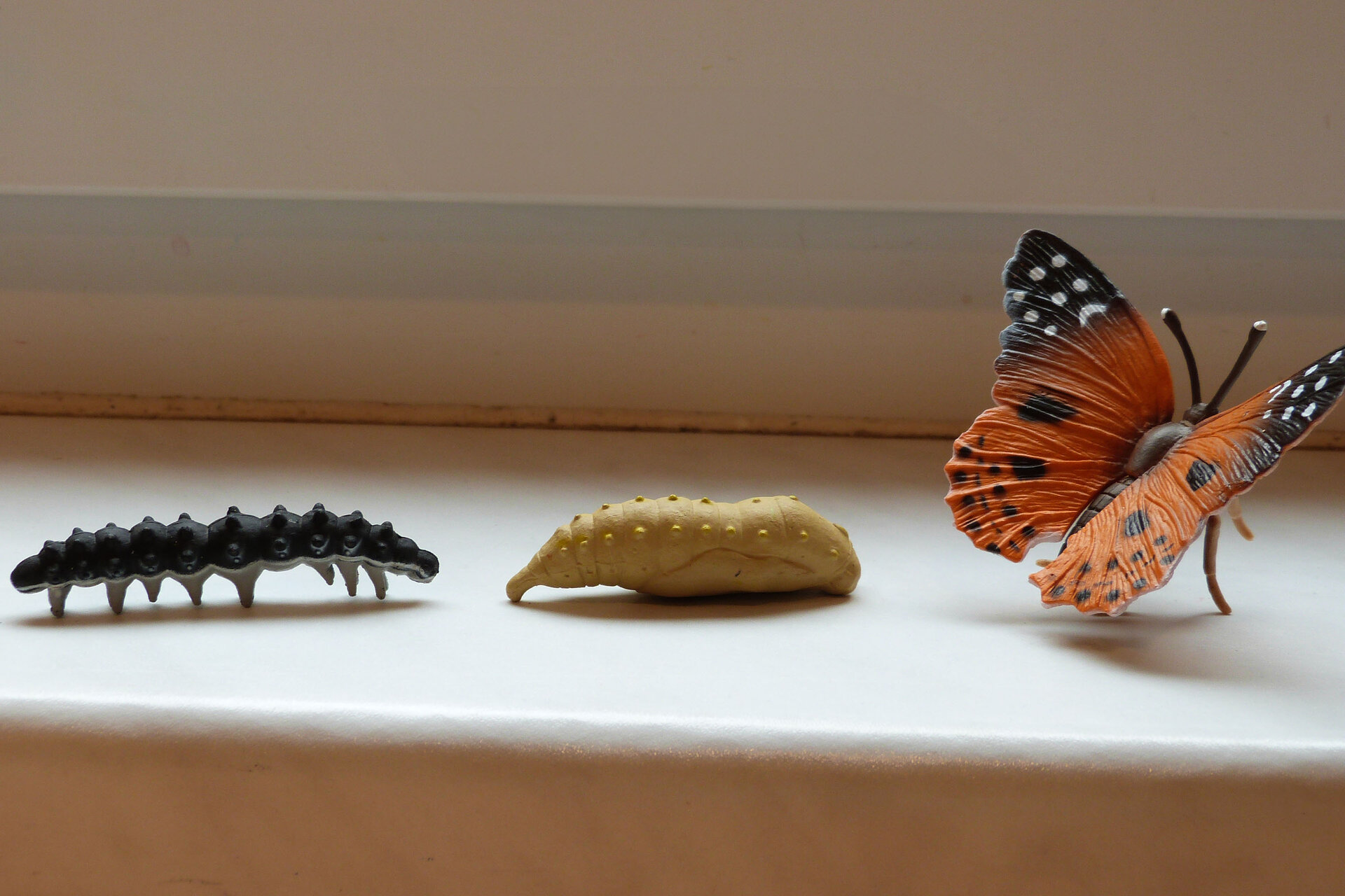 Von der Raupe zum Schmetterling | Kita Helles Nest