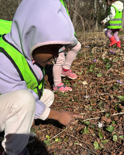  Die Kinder unserer Kita Bunte Burg waren unterwegs in der Umgebung und konnten beobachten, wie der Frühling Einzug...